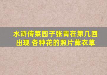 水浒传菜园子张青在第几回出现 各种花的照片薰衣草